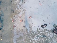 -北海金海湾红树林生态旅游区