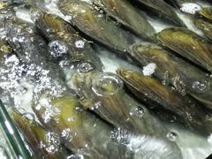 -渔傅·蓝海岸霞浦海鲜(正祥店)