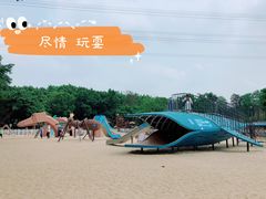-广州长隆飞鸟乐园