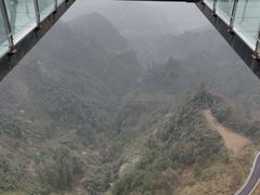 -梦幻奥陶纪景区