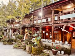 -青城甲(青城山店)