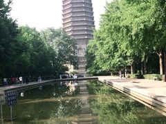 -玲珑塔公园
