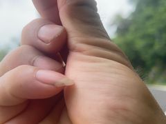 -白云山风景名胜区