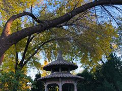 -玲珑塔公园