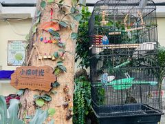 -丽江庭院之丽江往事(安定门店)
