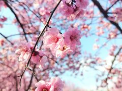 -白塘生态植物园