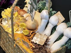 -大龙燚·旷野鲜火锅(广州首店)
