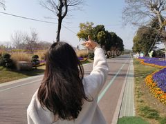 -南通洲际绿博园