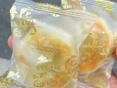 -南普陀素饼