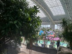 -杭州开元森泊度假乐园