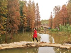 -云溪植物园