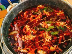 -重庆乌鱼庄·龙滋鲜(青羊大道店)