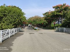 -贡湖湾湿地公园