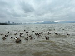 -深圳湾公园(南山区)