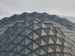 -哈尔滨大剧院