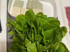 -君邦火锅(新疆大厦店)