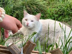 -CoCo都可(惠山古镇店)