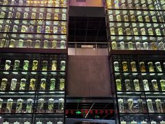 -广东中医药博物馆