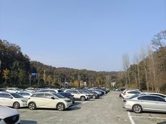 -千年银杏谷文化旅游区