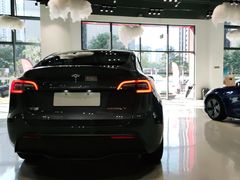 -TESLA 特斯拉(深圳观澜特斯拉直营钣喷中心)