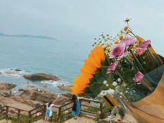 -燕儿岛山公园