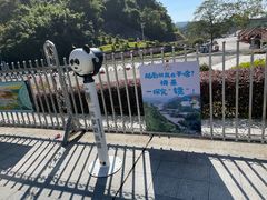 -友谊关景区