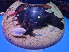 -海合安青岛极地海洋公园