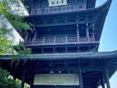 -鲁镇