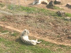 -无锡动物园·太湖欢乐园