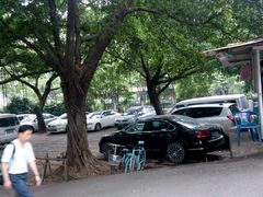 -晓港公园