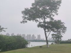 -盘龙城国家考古遗址公园