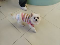 -怪兽屋·羊驼·猫咖·狗咖(俊华广场店)