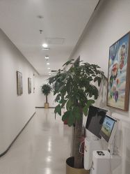 -丰联丽格医疗美容·联合丽格眼整形中心