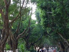 -南宁南湖公园