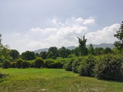 -洨河生态公园