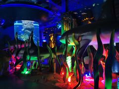 -芜湖新华联大白鲸海洋公园