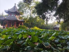 -莲池书院博物馆