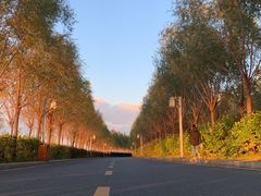 -呼兰河口湿地公园