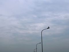 -洋山深水港