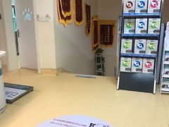 -瑞派宠物医院·24小时骨科·心脏·核磁(哈尔滨南岗店)