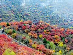 -狼牙山风景区