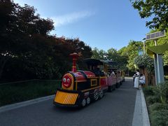 -青枫公园