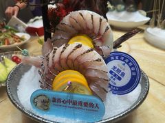 -海鲨湾海鲜会馆(百家湖1912店)