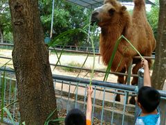-广东茂名森林公园