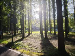 -黄海国家森林公园