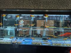 -苏淮景·苏闽融创菜·海鲜(原空港井河轩店)