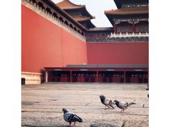 -故宫博物院(故宫)