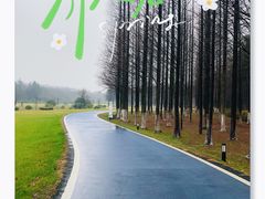 -宜兴龙背山森林公园