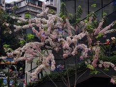 -江燕路万科里