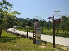 -中山市树木园